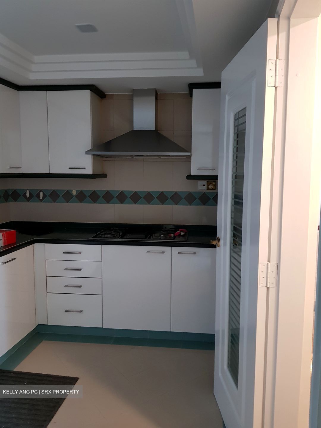 Cairnhill Plaza (D9), Apartment #567521441